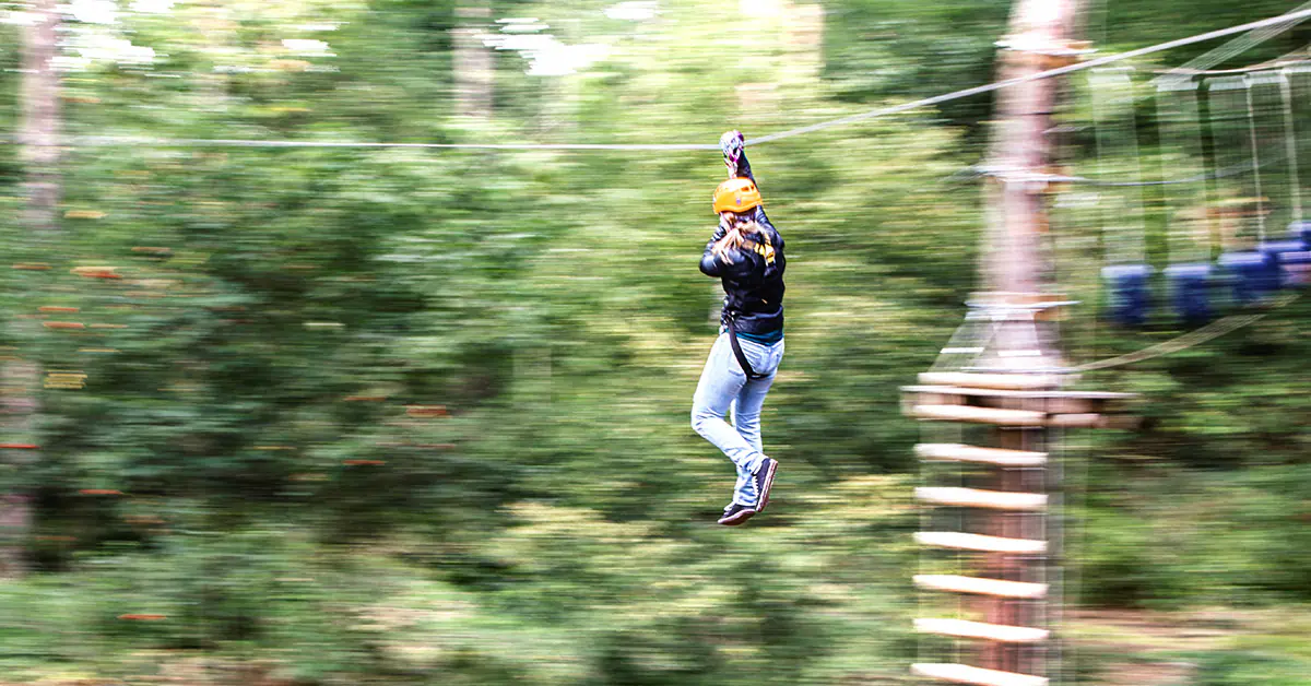 Thinking of operating a zipline? Learn the key considerations for a safe and profitable investment, from initial design to ongoing upkeep.