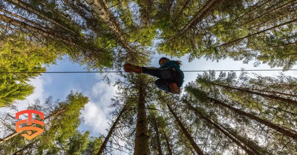 Validate your zipline concept with our expert Zipline Feasibility Study. We analyze speed, tension, and trajectory to ensure your project is viable from the start. Make smarter investment decisions today.