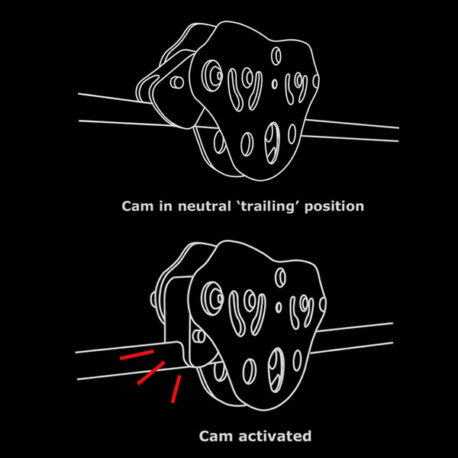 ARC Anti-Rollback Cam
