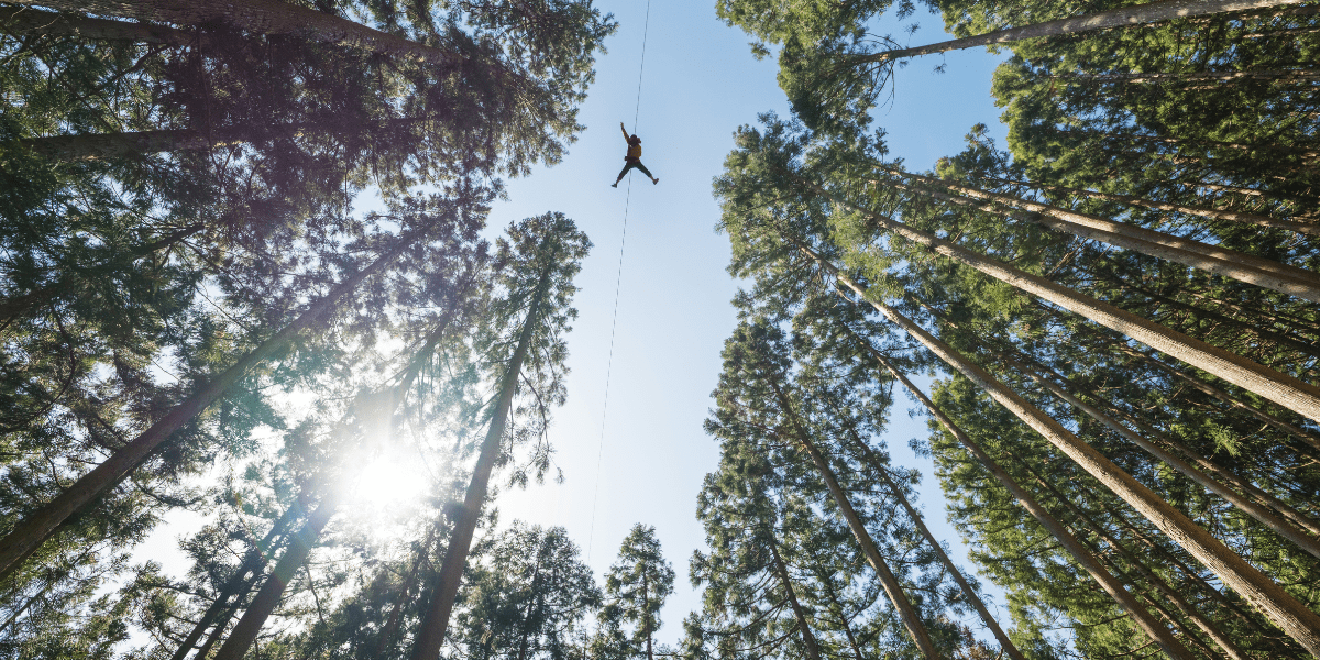 Experience the Thrill of Ziplining Without the Risk: Zipstop Zipline Brake Has Got You Covered