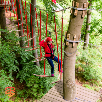 Adventure awaits, but safety comes first! Our annual adventure park inspections ensure every ride is a thrilling yet secure experience.